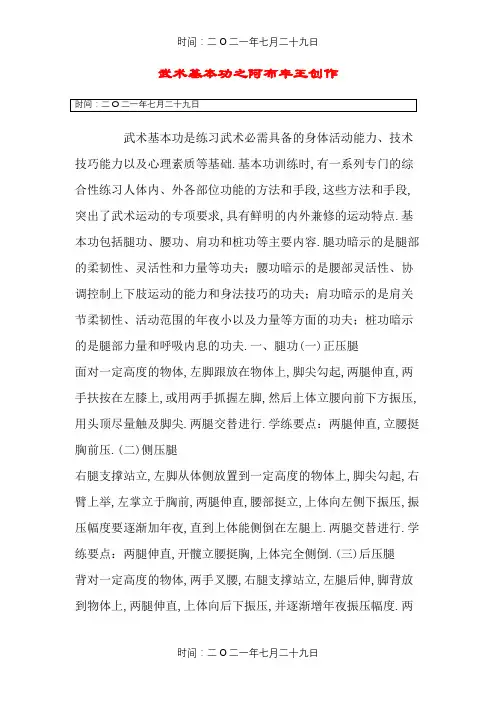 武术基本功图解(免费)