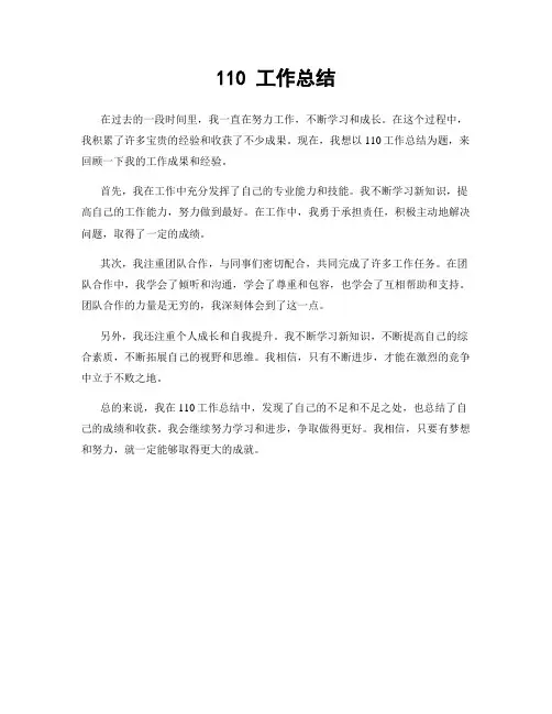 110 工作总结
