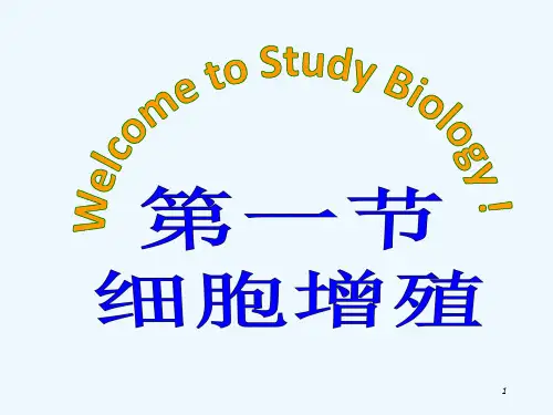 高中生物必修一课件：第六章第一节细胞增殖