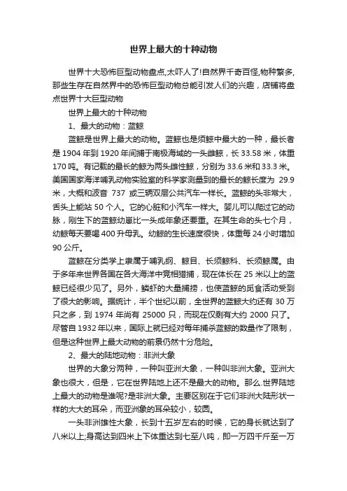 世界上最大的十种动物