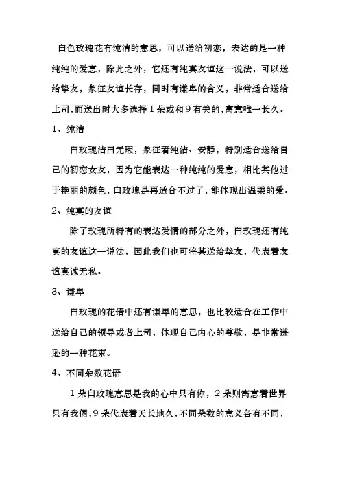 白玫瑰花语象征与寓意
