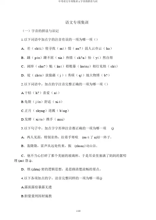 中考语文专项集训1字音的拼读与识