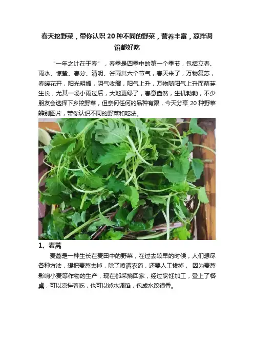 春天挖野菜，带你认识20种不同的野菜，营养丰富，凉拌调馅都好吃