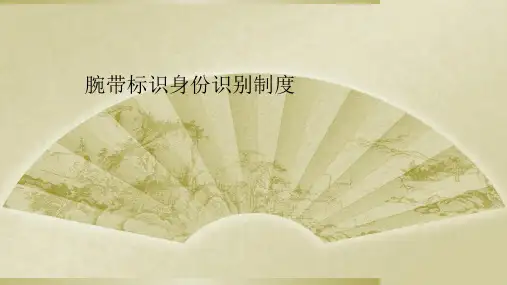 腕带标识身份识别制度