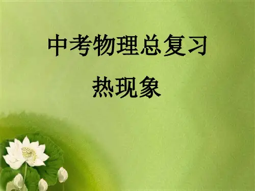 中考物理总复习 热现象.ppt