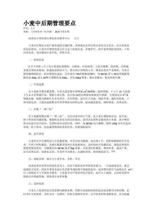 小麦中后期管理要点