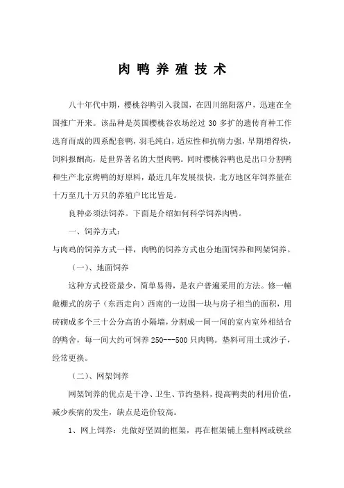 樱桃谷肉鸭养殖