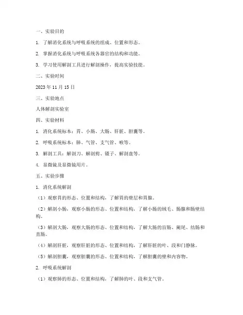 消化呼吸系统实验报告