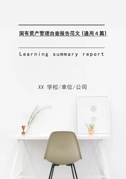 国有资产管理自查报告范文(通用4篇)2021年[Word稿]