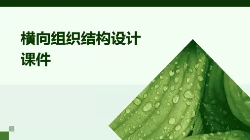 横向组织结构设计课件