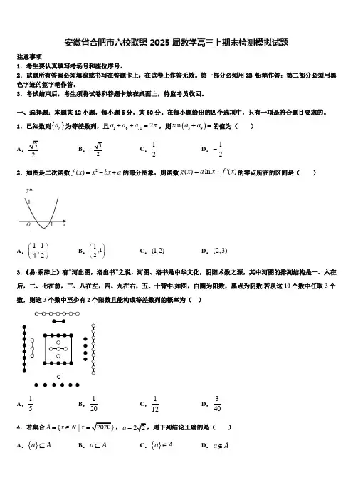 安徽省合肥市六校联盟2025届数学高三上期末检测模拟试题含解析