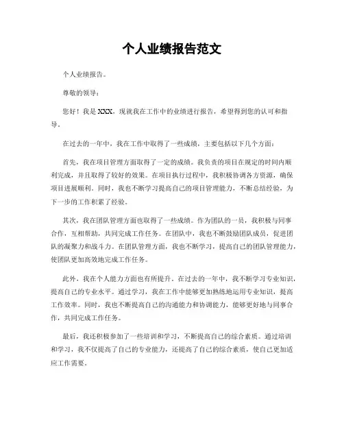 个人业绩报告范文
