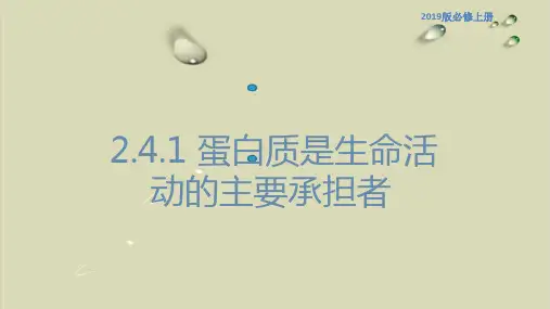 1 蛋白质是生命活动的主要承担者 优质课件人教版高中生物必修1分子与细胞【精选】
