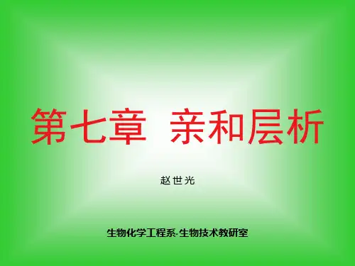 第7章 亲和层析