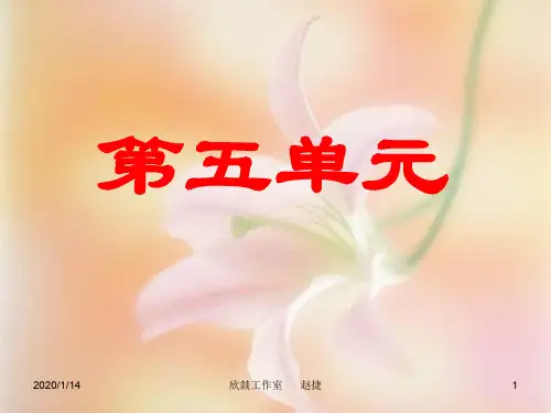 2020部编人教版-中考语文第一轮复习之单元篇 基础知识九上5
