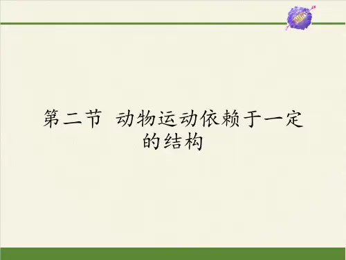 苏教版八年级生物上册 17.2  动物运动依赖于一定的结构课件(共17张PPT)