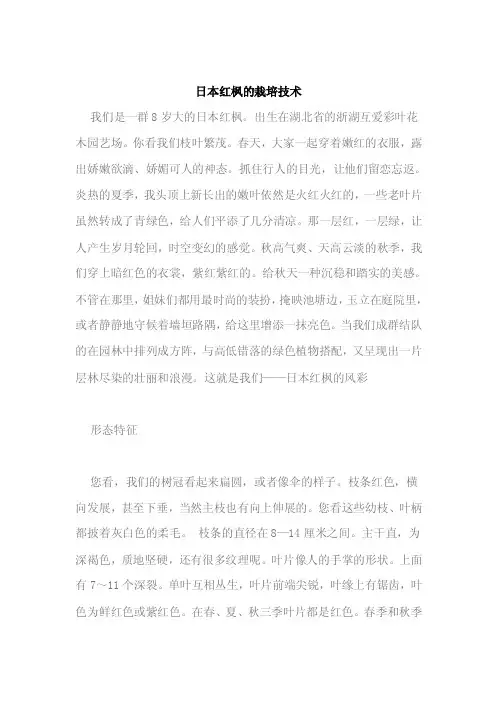 日本红枫的栽培技术