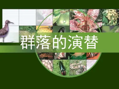 人教版生物必修三群落的演替PPT完整版