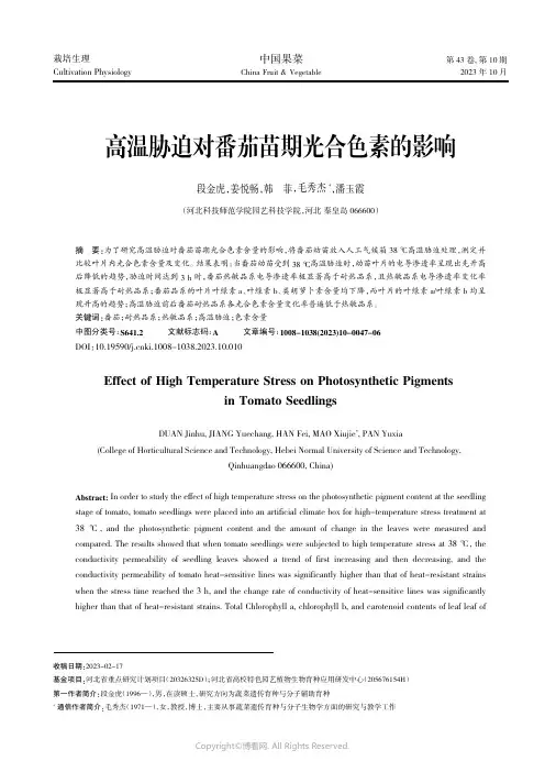 高温胁迫对番茄苗期光合色素的影响
