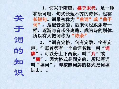 关于词的知识