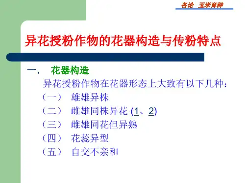 玉米育种 - 玉米育种