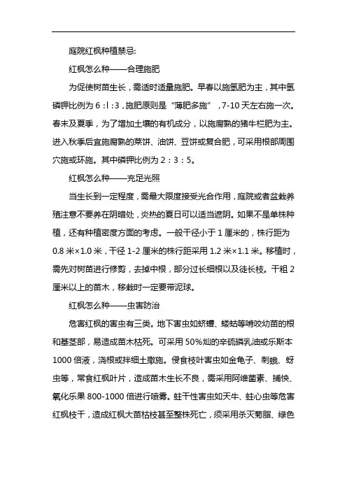 庭院红枫种植禁忌
