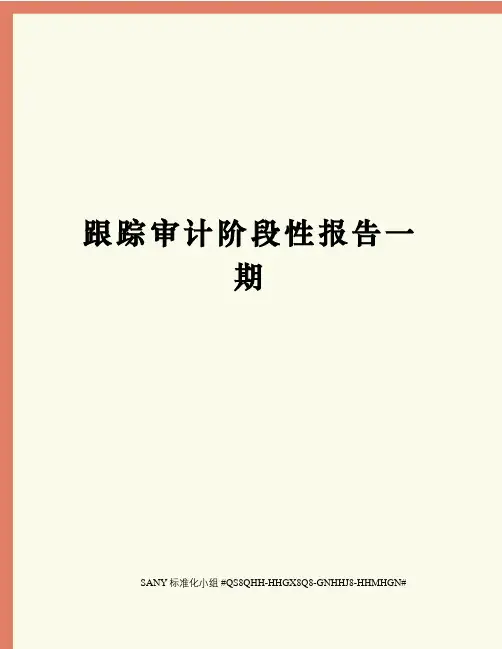 跟踪审计阶段性报告一期精修订