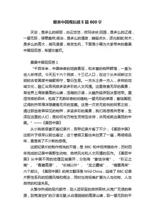 最美中国观后感5篇600字