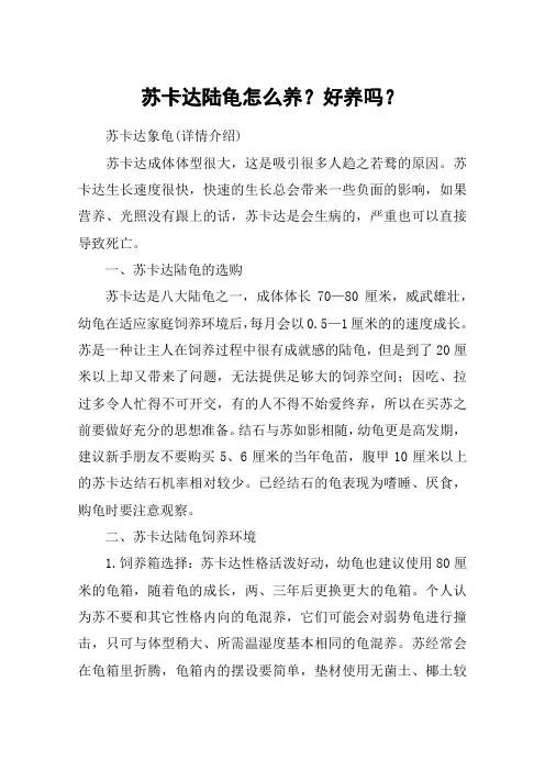 苏卡达陆龟怎么养？好养吗？