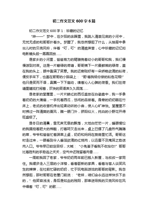 初二作文范文600字6篇