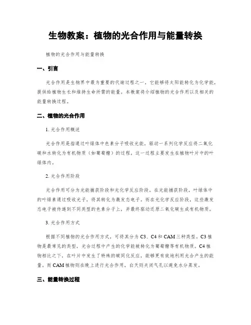 生物教案：植物的光合作用与能量转换