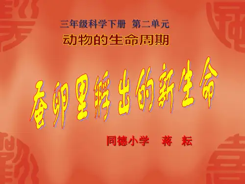 蚕卵里孵出的新生命.ppt