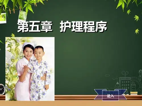 护理程序 PPT课件