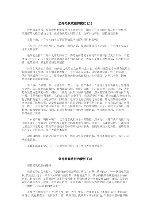 坚持是我致胜的魔杖作文
