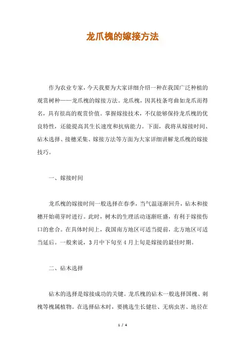 龙爪槐的嫁接方法