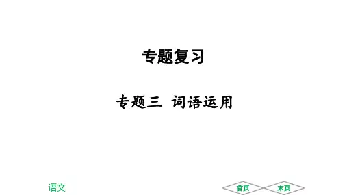 2018年春人教部编版语文八年级下册课件：专题三  词语运用 (共21张PPT)