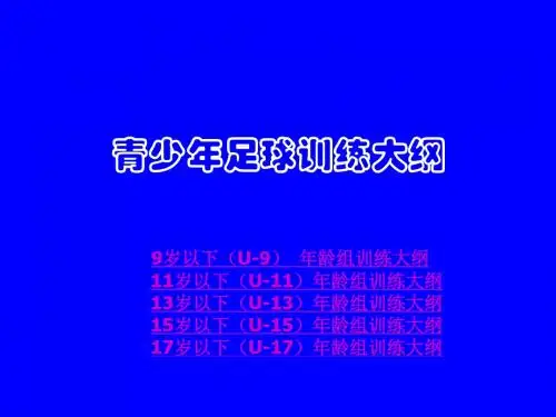 青少年足球训练大纲..