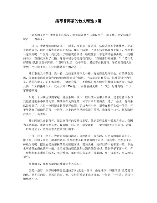 描写普洱茶的散文精选3篇