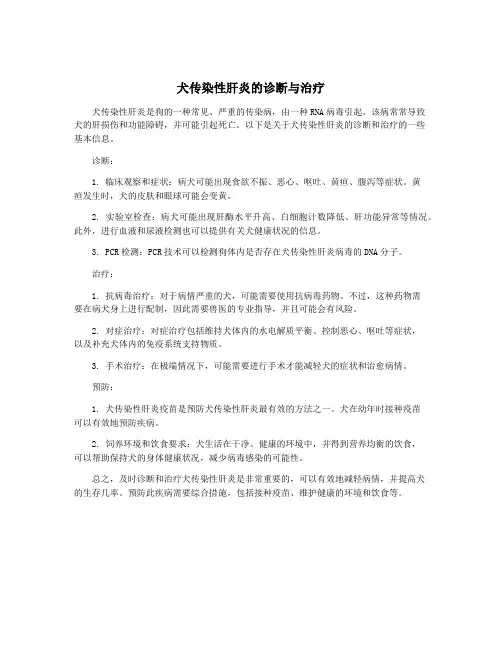 犬传染性肝炎的诊断与治疗