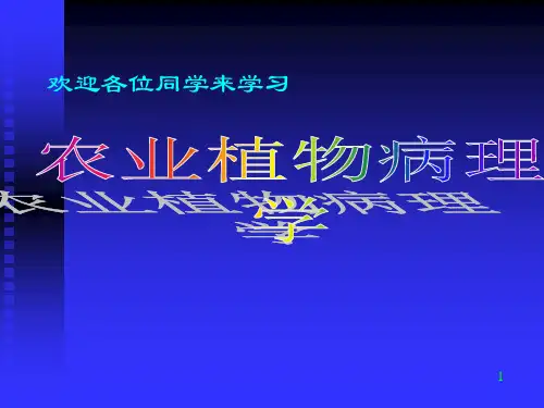 植物病理学-普病部分PPT课件