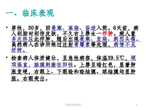 局解PBLppt课件
