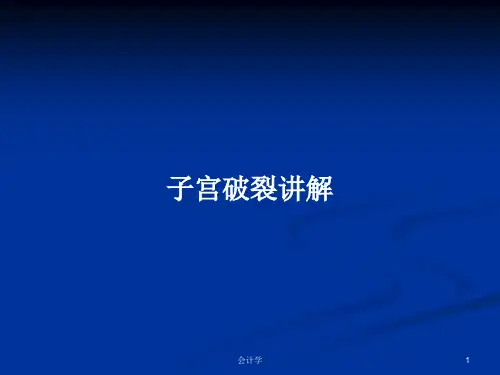 子宫破裂讲解PPT学习教案