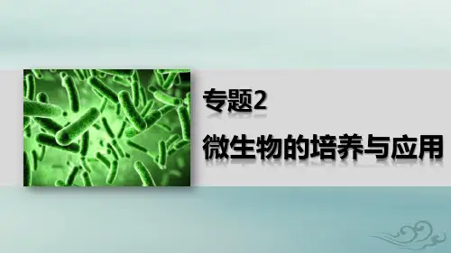2019-2020学年人教版选修1微生物的实验室培养(二)课件(51张)