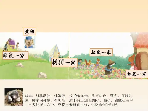 二年级下册语文教学课件-3.开满鲜花的小路-人教部编版(23页PPT)