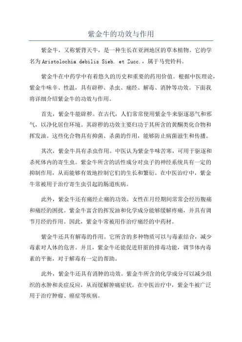 紫金牛的功效与作用