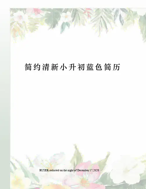 简约清新小升初蓝色简历