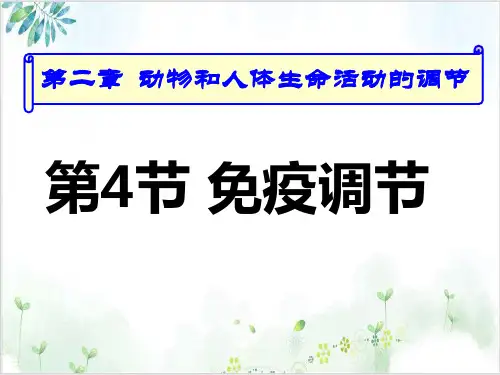 [人教版]《免疫调节》优秀课件1
