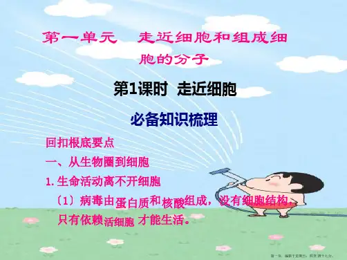【步步高】高考生物 走近细胞 新人教版精选课件
