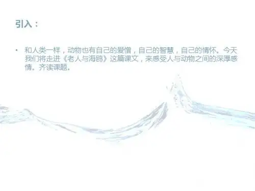 21《老人与海鸥》PPT课件