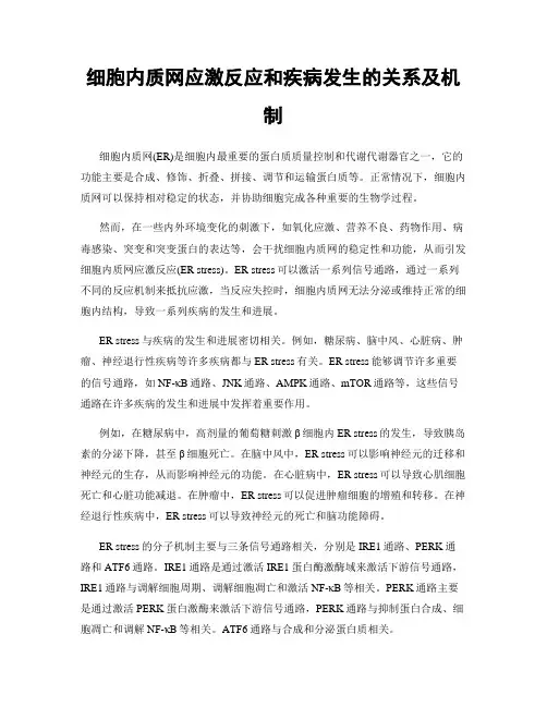 细胞内质网应激反应和疾病发生的关系及机制